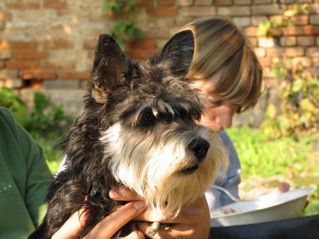 Don Kubi pozorně sleduje...