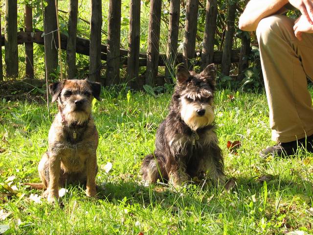 Eliška a Kubi....dva parťáci do nepohody