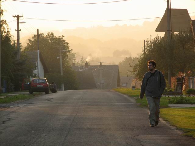 z mlžného oparu přichází pejsek