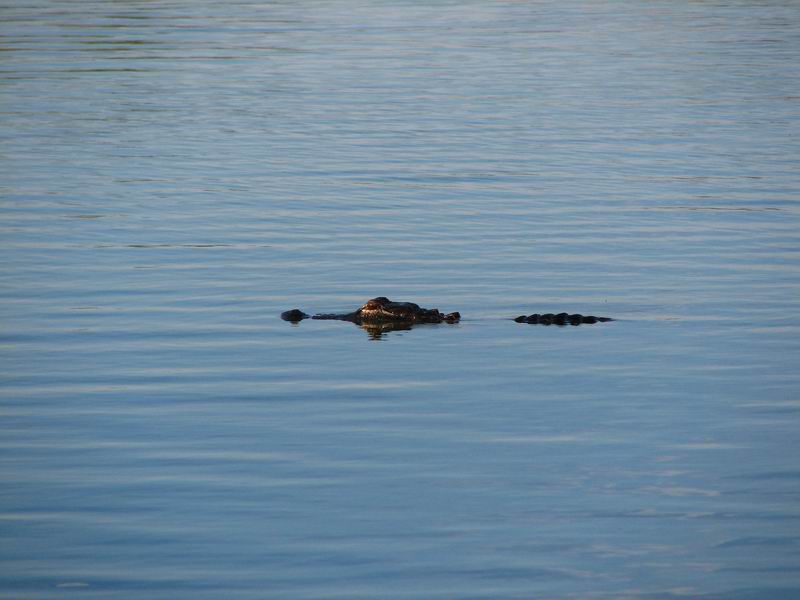 Kdopak nás to po očku sleduje?