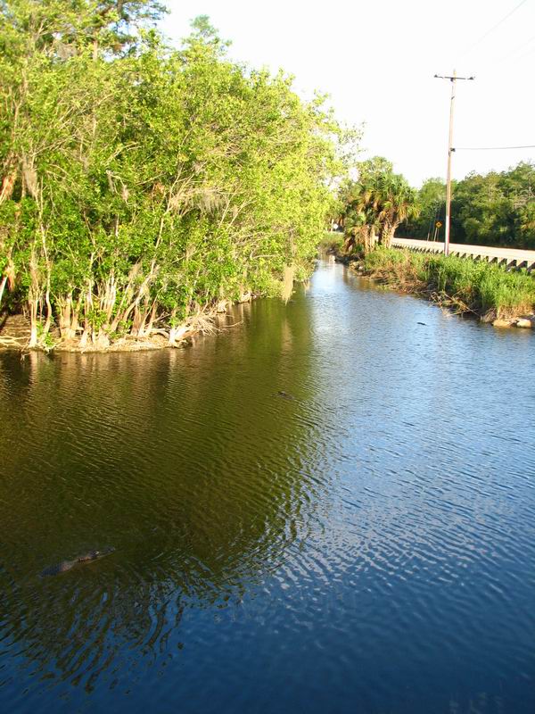 Nebezpečný ostrůvky na hladině