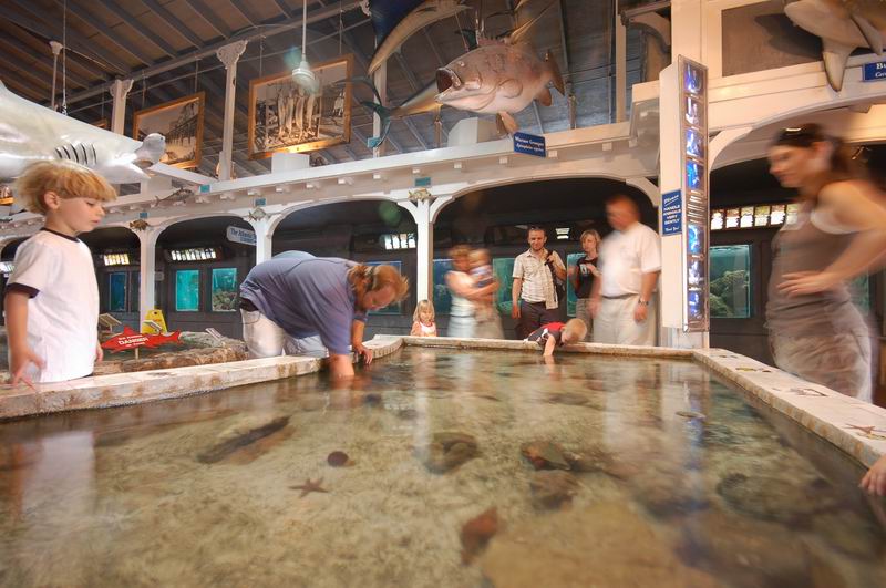 Trocha ošahávání