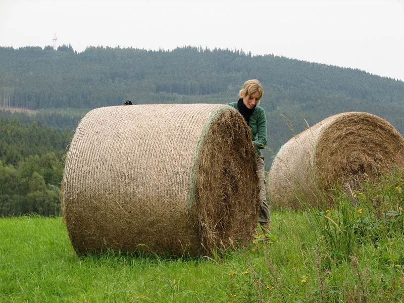 Ivoš valí válec sena