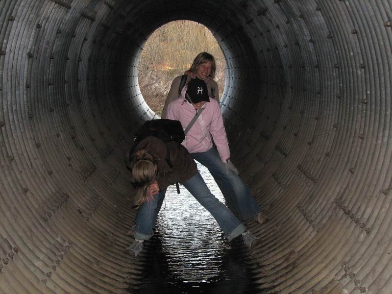 V rouře je jako vždy veselo