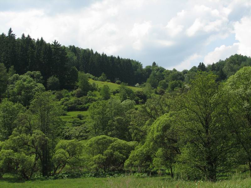 Krásnej zelenej kraj