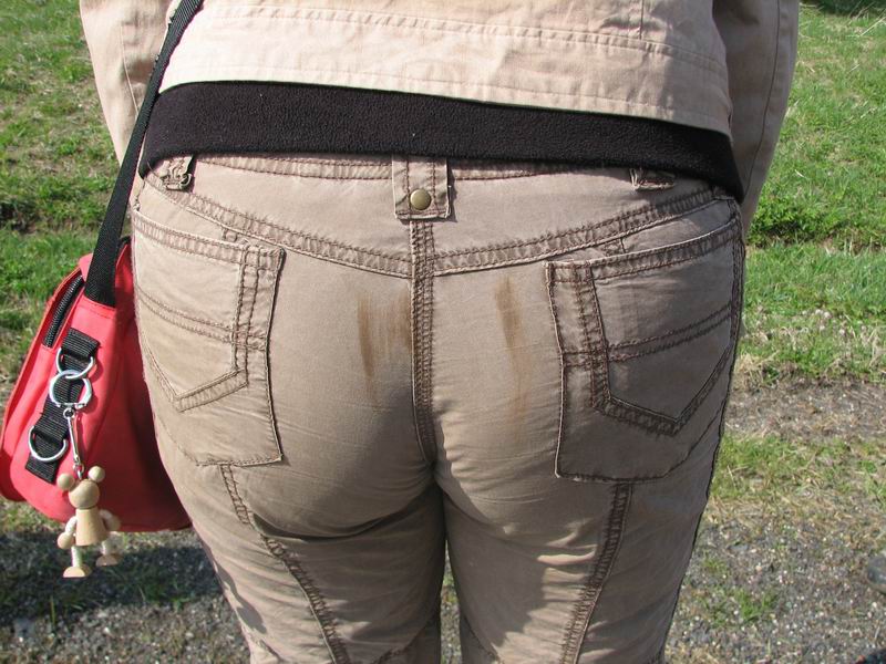 Sovička po drobné nehodě