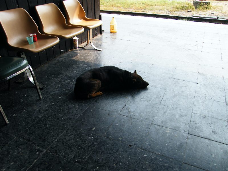 vítá nás ospalé chiang mai