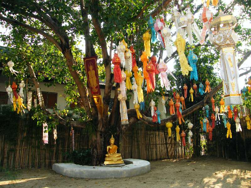 buddha a posvátný strom