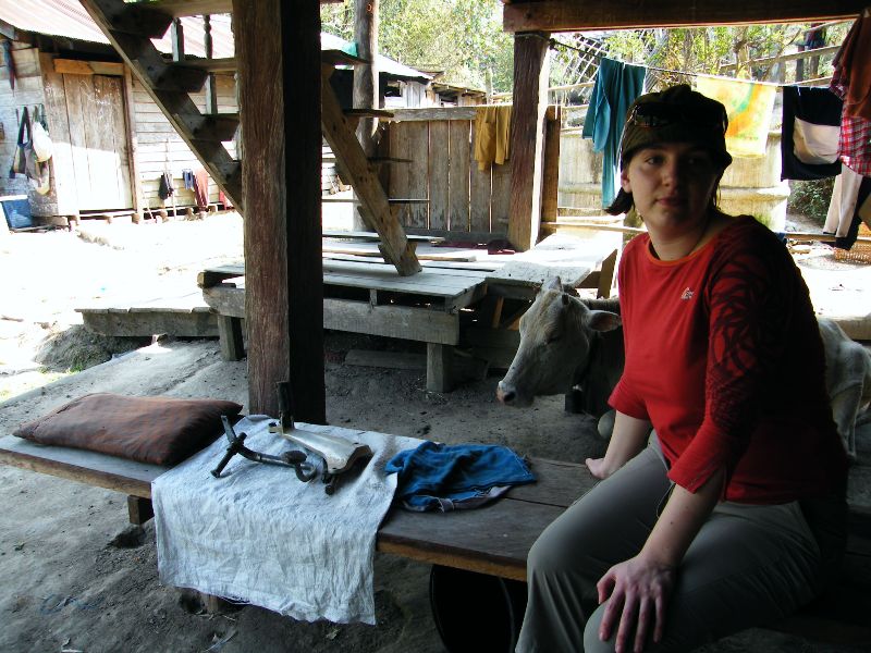 unavená zuzička a flegmatická kráva