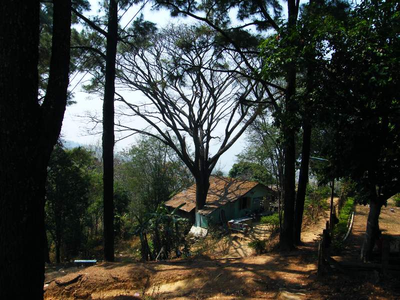 výstup na horu doi khun tan