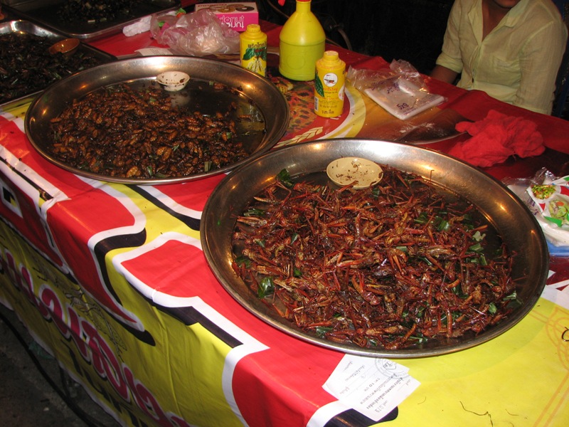 sarančata a brouci, lákavá pochoutka