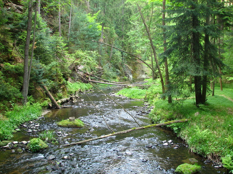 Chřibská Kamenice cestou do Jetřichovic