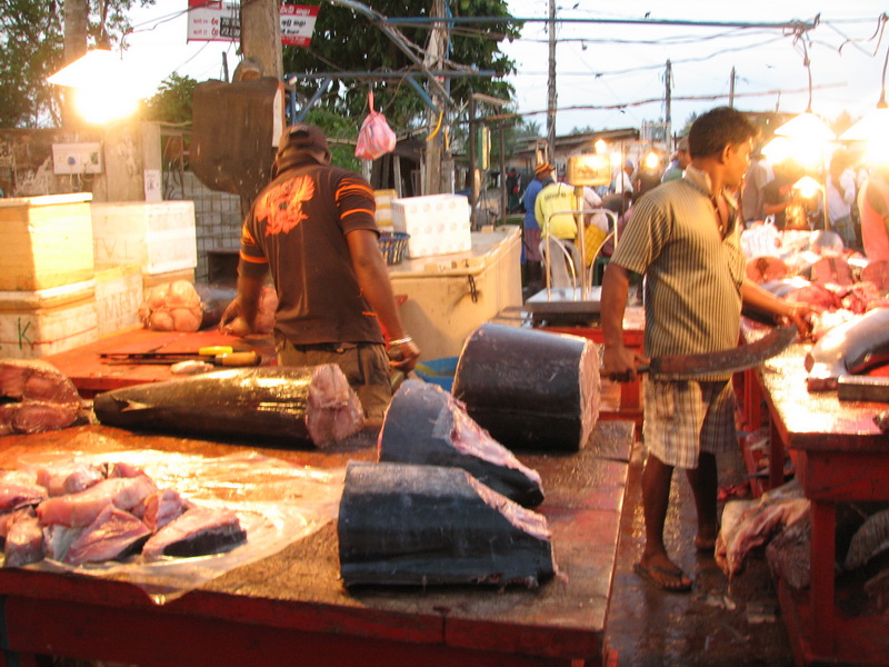 Negombo - občas je potřeba i pilka