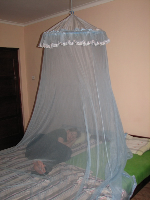 Kandy - ivoš v moskytiéře