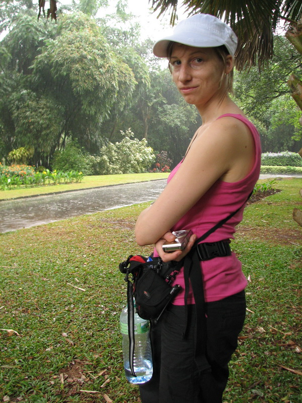 Kandy - botanická zahrada, ivoš se schovává před slejvákem