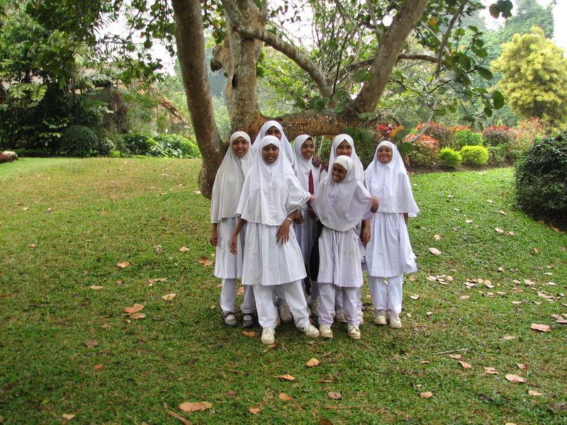 Kandy - botanická zahrada - holkama trochu cloumala puberta