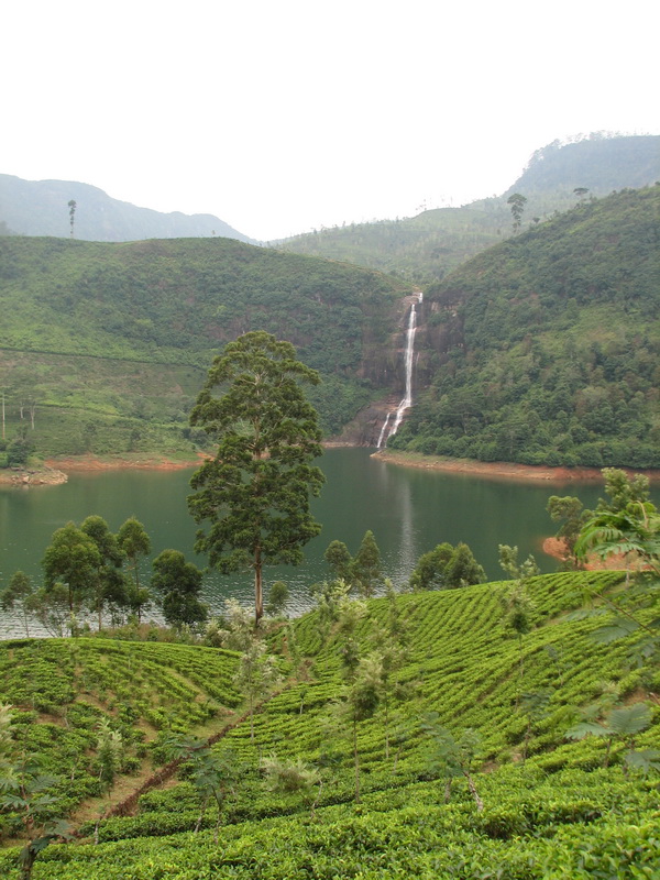 Maskeliya - čaj a vodopád