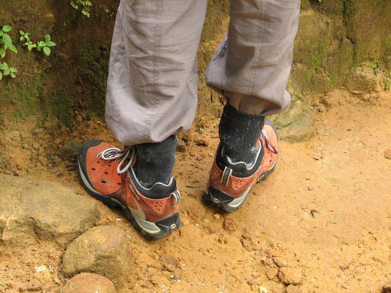 Sinharaja (deštný prales) - sůl proti pijavicím