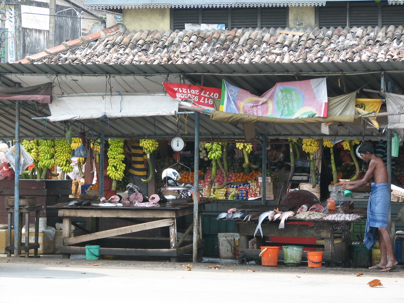Galle - je libo tuňáček, nebo banán?