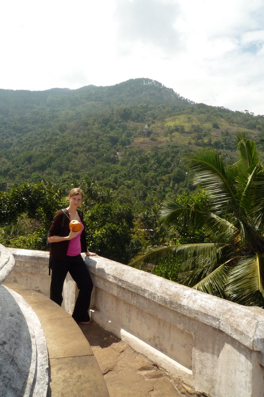 Ivoš na střeše chrámu popíjí z kokosu