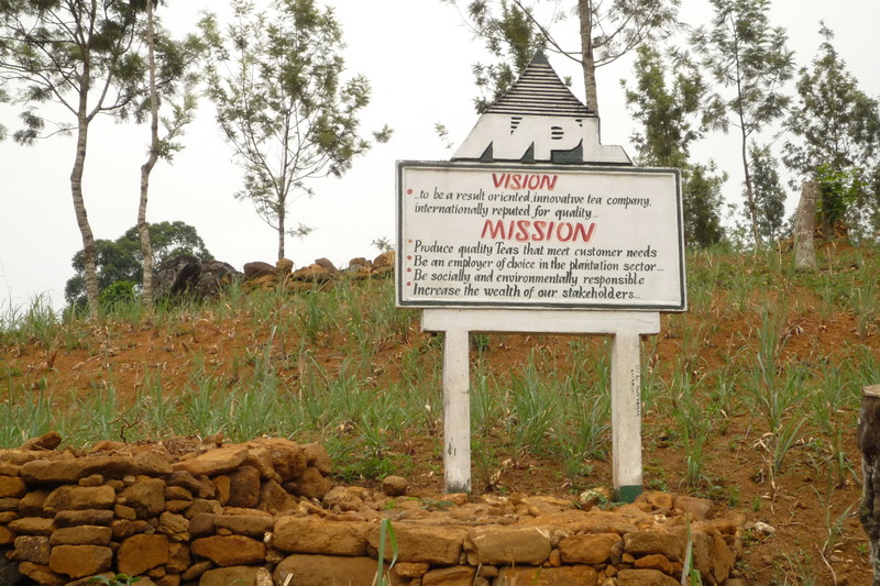 Maskeliya - čajové plantáže - pravidla musej bejt