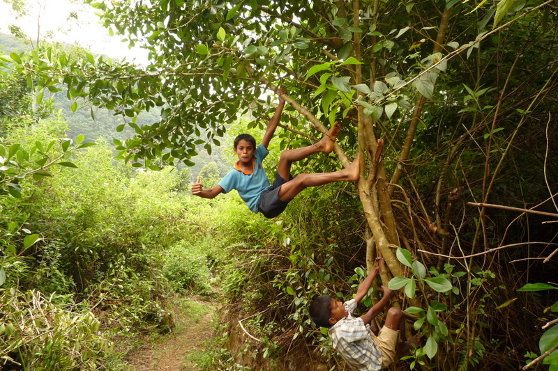 Maskeliya - vopičácí