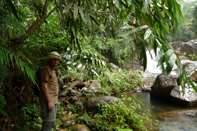 Sinharaja (deštný prales) - rupek v pralese