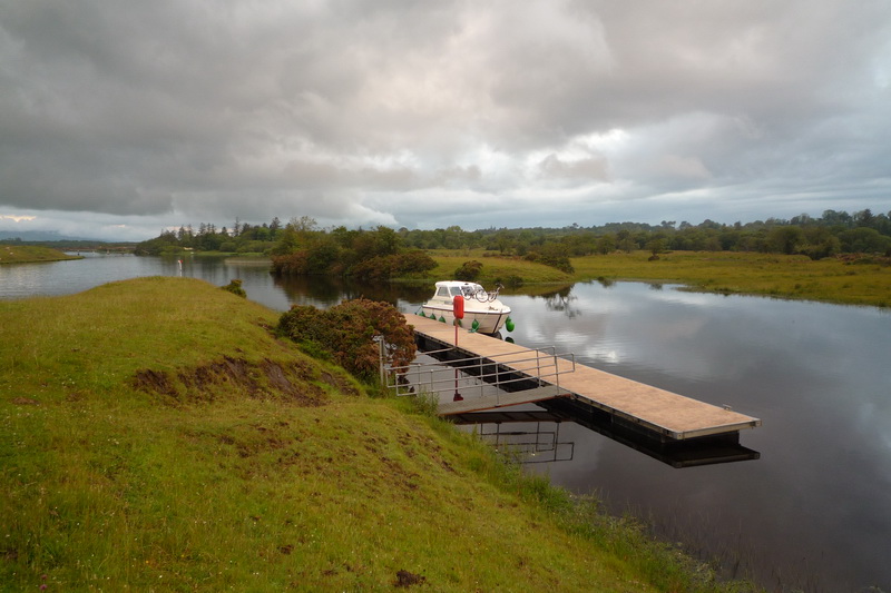 Kotvišťátko mezi pastvinama