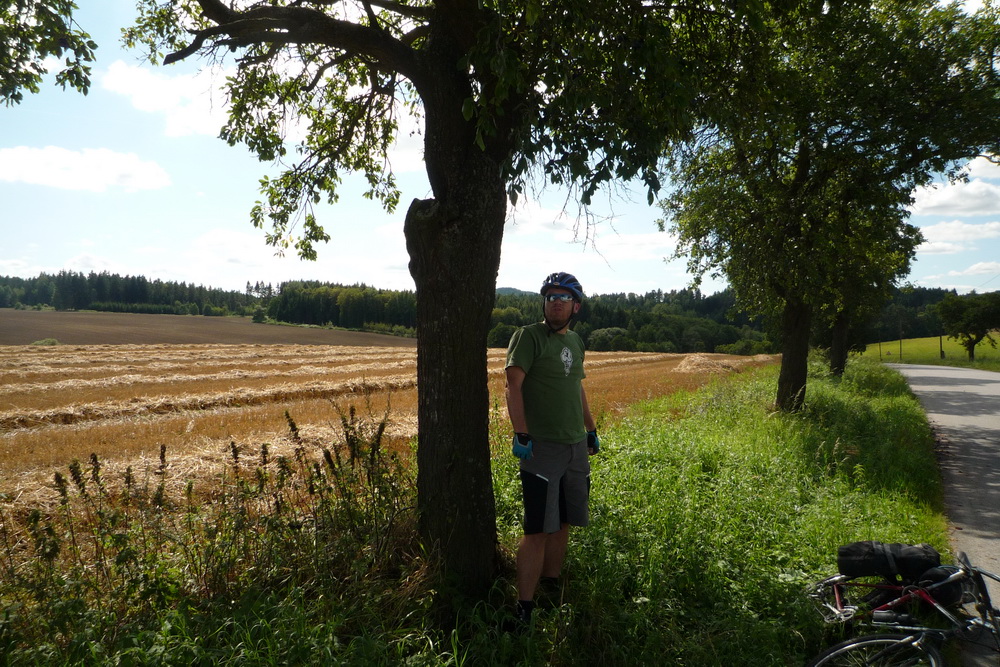 Rupek na švestkách