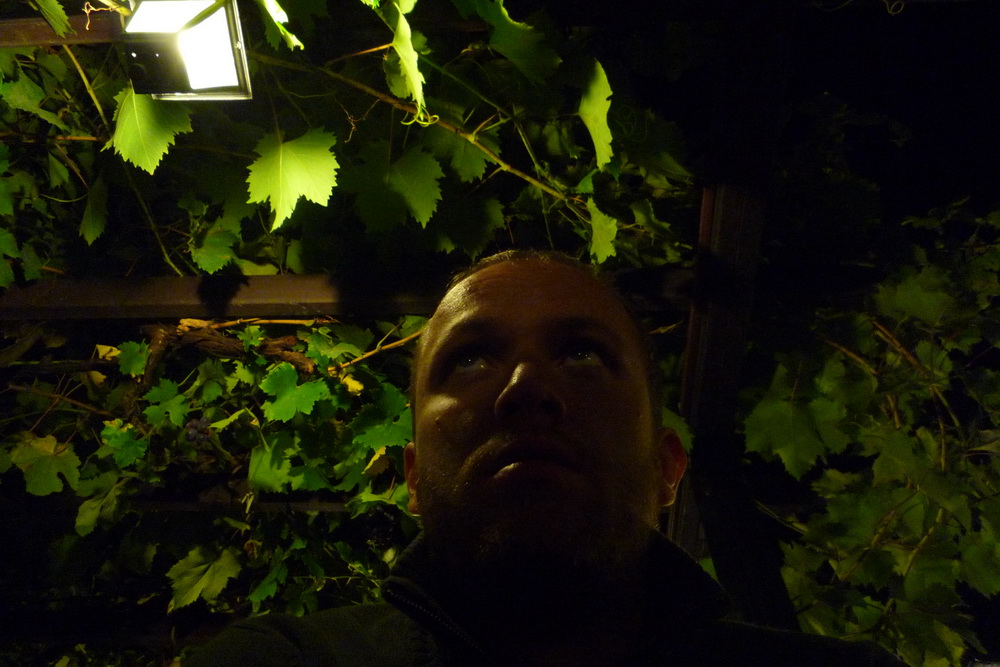 Rupek v zajetí vína