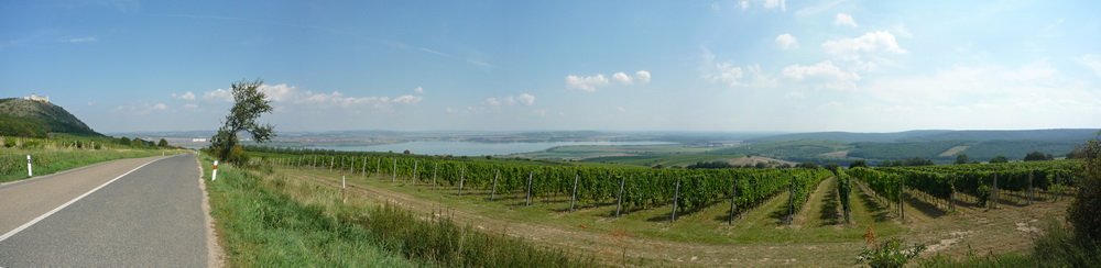 Vinice nad Pavlovem