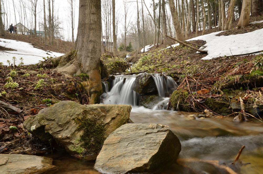 potůček zurčí, jaro je tu