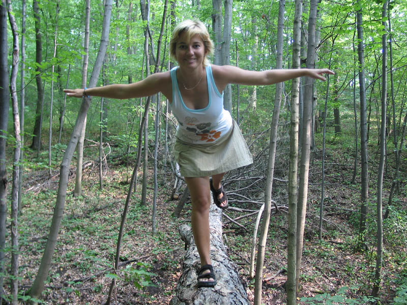 Vlašťovka neobecná