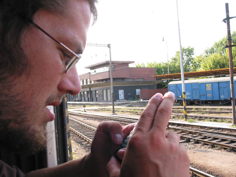 Pejsek esemeskujíce