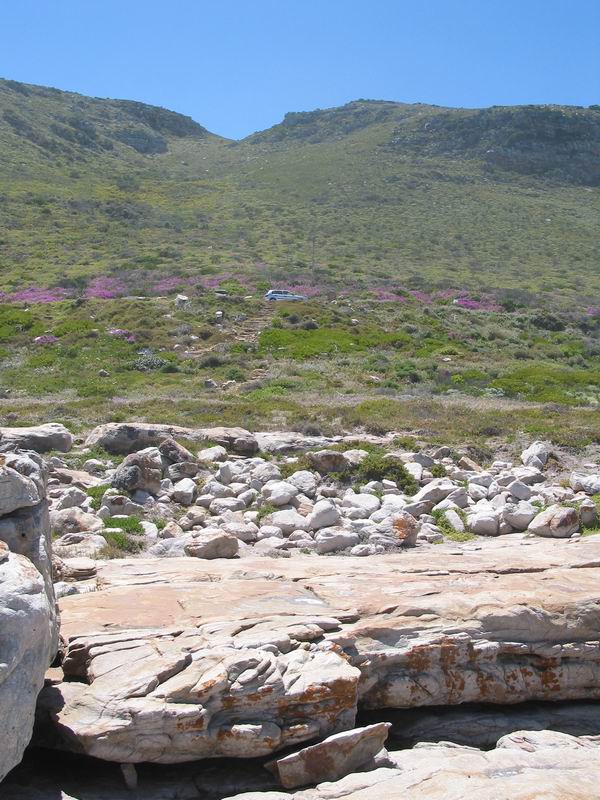 Kapský poloostrov - Rupkova toyotka v kopci