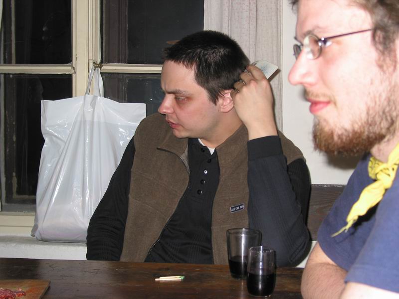 Vrba chvíli před krachem