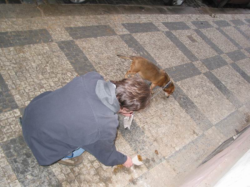 ...bohužel se nedaří, a tak lajnuje hovnem krajnici...