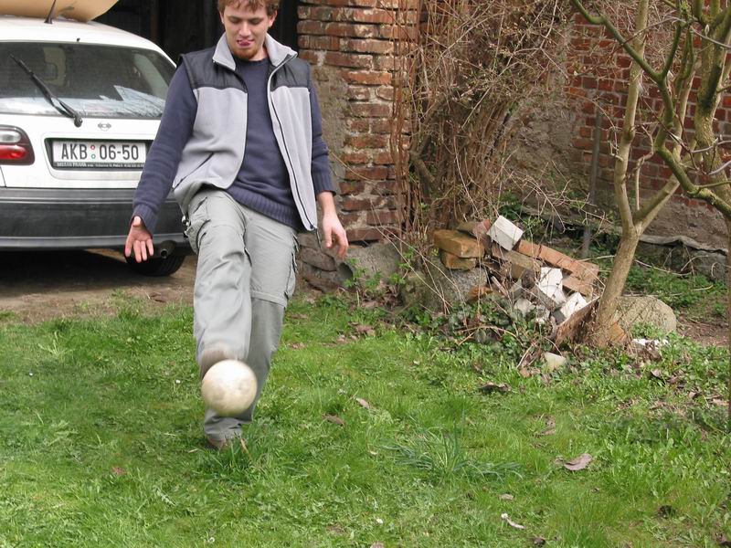 Jazyk značí pohodu