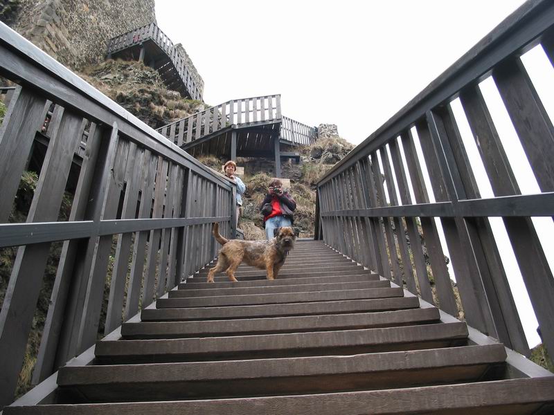 Vděčný objekt: Eliška na schodech