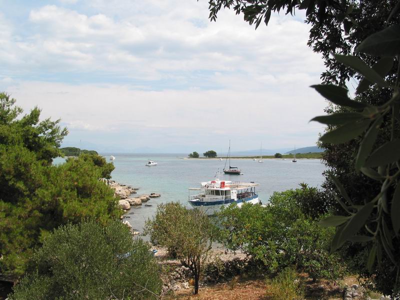 Teuta na parkovišti