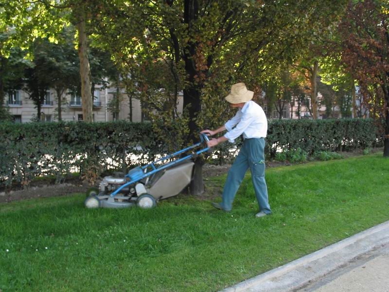 Dědek sekáč kloboučník