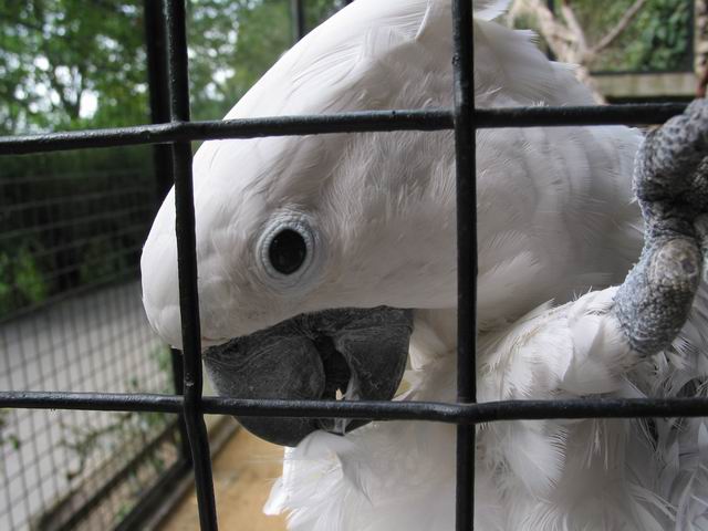 ...kterej rupkovi málem zlikvidoval kryt objektivu