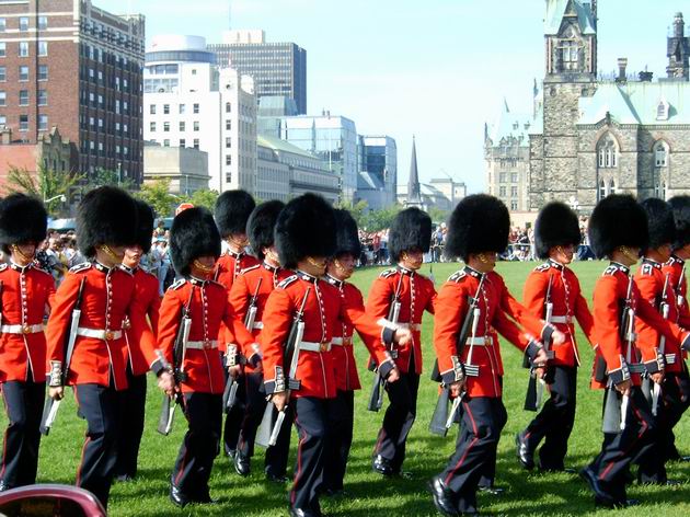 vedro+medvědí čepice=...