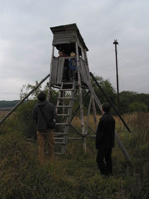 Cestou do z rokytňan do dětenic