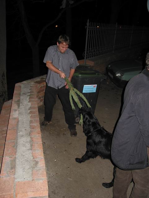 chycení psa na pichlavou větev