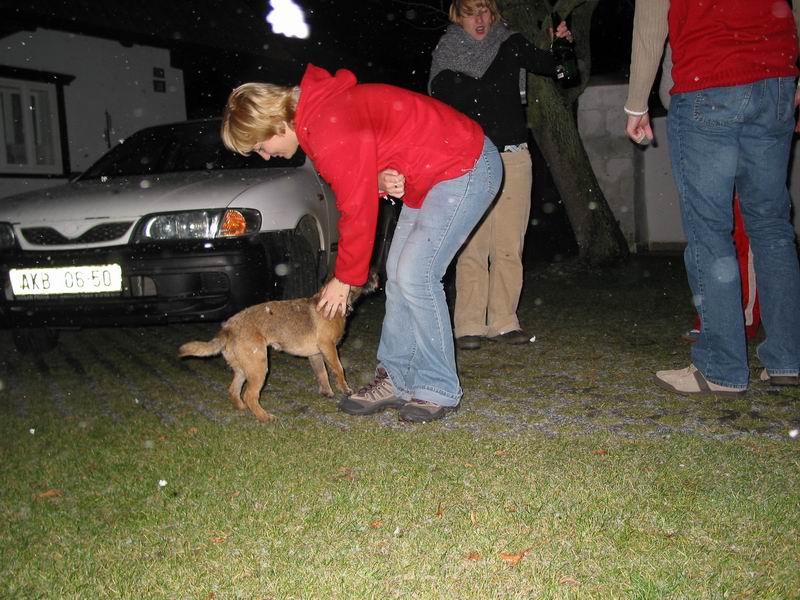 nissan almera = auto bohů
