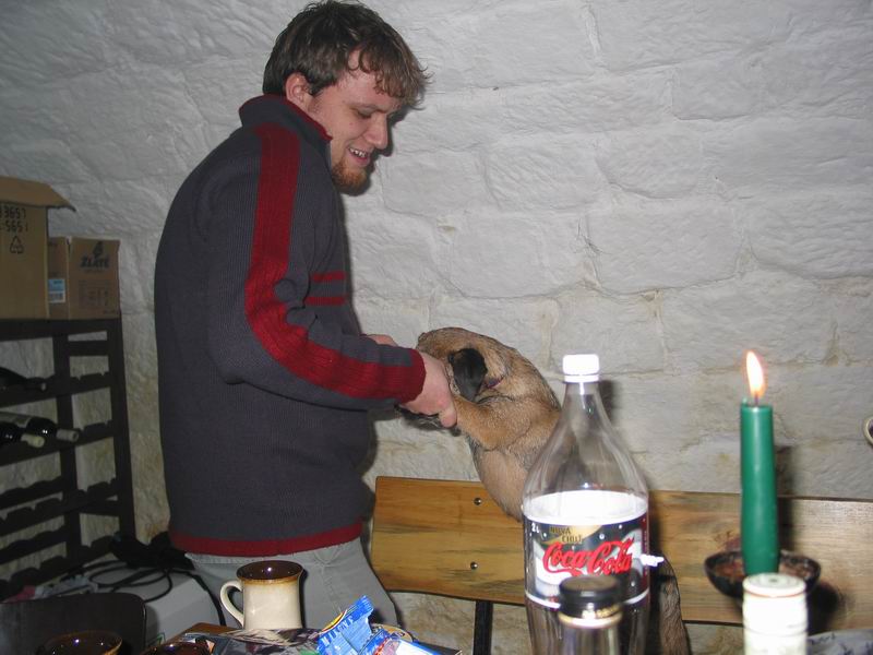 rupek klidně tančí i s němou tváří