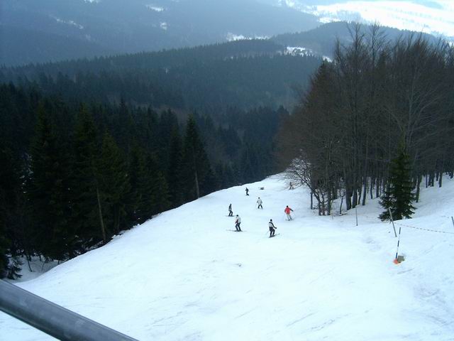 Černá měla letos drajv