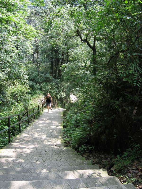 Emei Shan - ivoš se valí do kopce