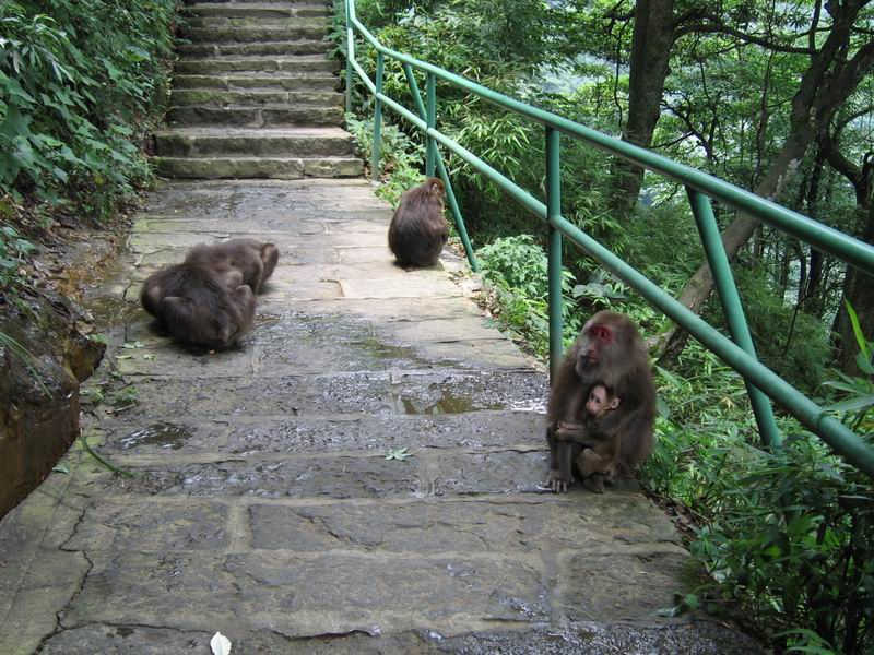 Emei Shan - rodinka hospodařící nám v cestě